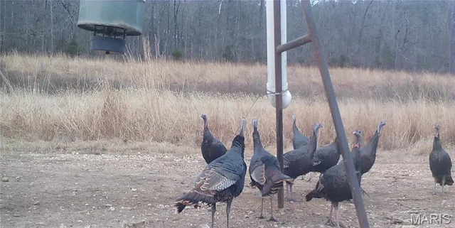 $1,925,000 | 32315 County Road 325, Salem, MO 65560