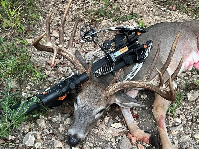 $1,925,000 | 32315 County Road 325, Salem, MO 65560