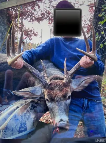 $1,925,000 | 32315 County Road 325, Salem, MO 65560