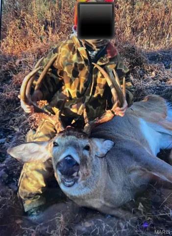 $1,925,000 | 32315 County Road 325, Salem, MO 65560