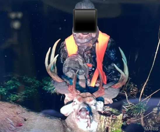 $1,925,000 | 32315 County Road 325, Salem, MO 65560