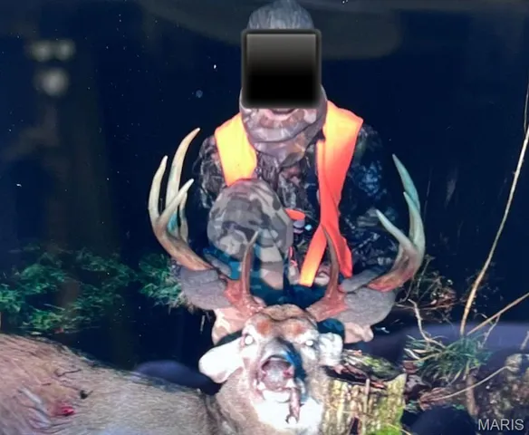 $1,925,000 | 32315 County Road 325, Salem, MO 65560