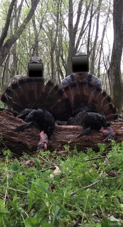 $1,925,000 | 32315 County Road 325, Salem, MO 65560