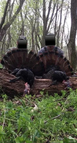 $1,925,000 | 32315 County Road 325, Salem, MO 65560