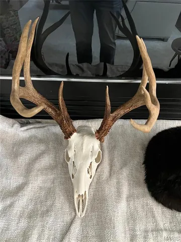 $1,925,000 | 32315 County Road 325, Salem, MO 65560