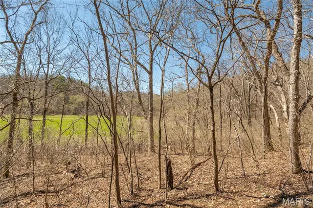 $1,925,000 | 32315 County Road 325, Salem, MO 65560