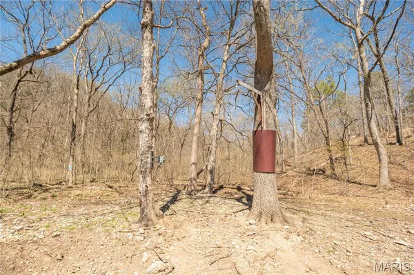 $1,925,000 | 32315 County Road 325, Salem, MO 65560