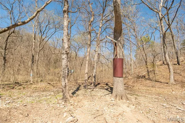 $1,925,000 | 32315 County Road 325, Salem, MO 65560