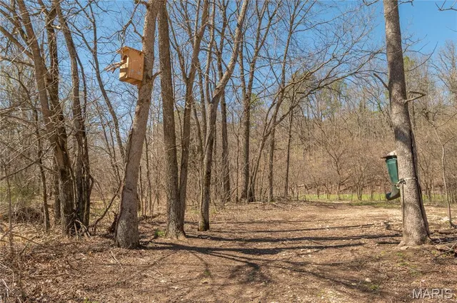 $1,925,000 | 32315 County Road 325, Salem, MO 65560