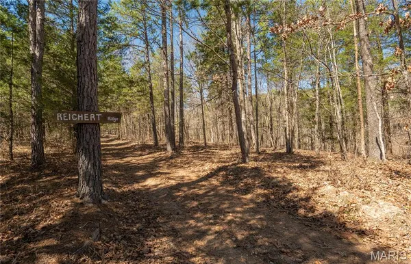 $1,925,000 | 32315 County Road 325, Salem, MO 65560