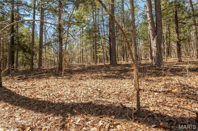 $1,925,000 | 32315 County Road 325, Salem, MO 65560