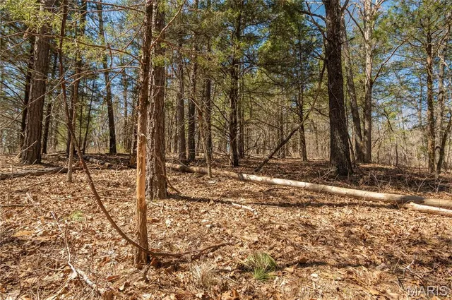 $1,925,000 | 32315 County Road 325, Salem, MO 65560