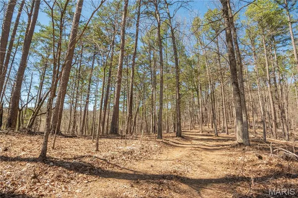 $1,925,000 | 32315 County Road 325, Salem, MO 65560