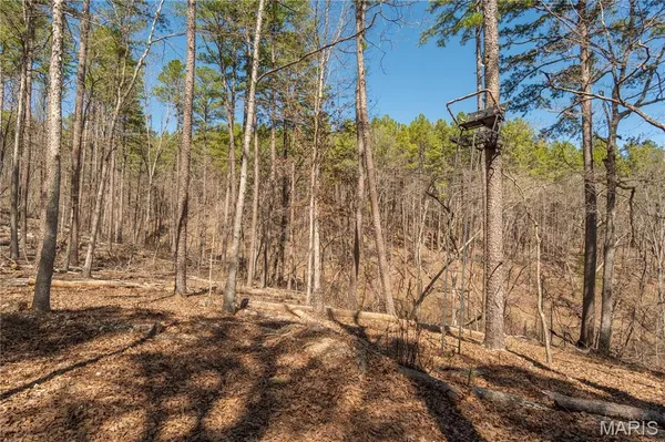 $1,925,000 | 32315 County Road 325, Salem, MO 65560