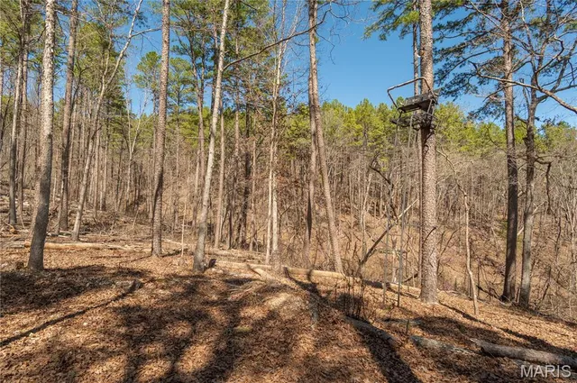 $1,925,000 | 32315 County Road 325, Salem, MO 65560