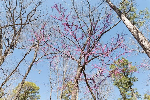 $1,925,000 | 32315 County Road 325, Salem, MO 65560