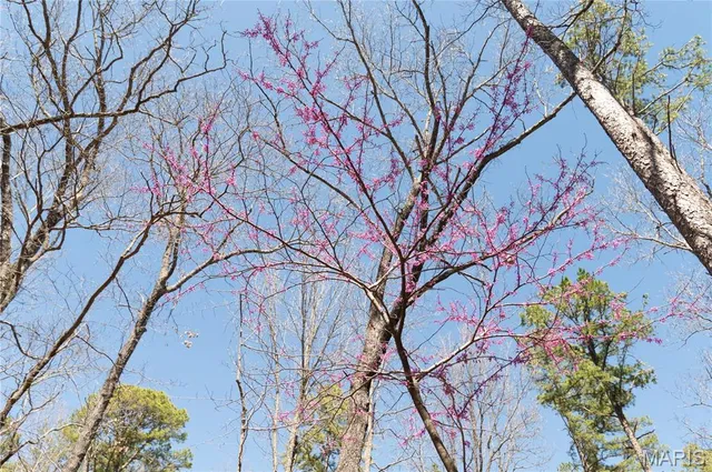 $1,925,000 | 32315 County Road 325, Salem, MO 65560