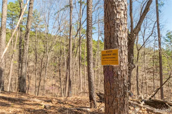 $1,925,000 | 32315 County Road 325, Salem, MO 65560