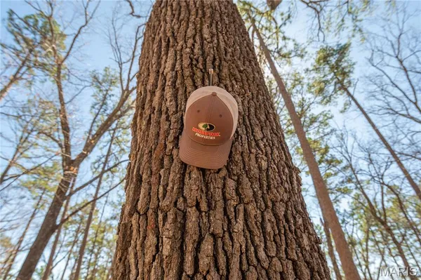 $1,925,000 | 32315 County Road 325, Salem, MO 65560