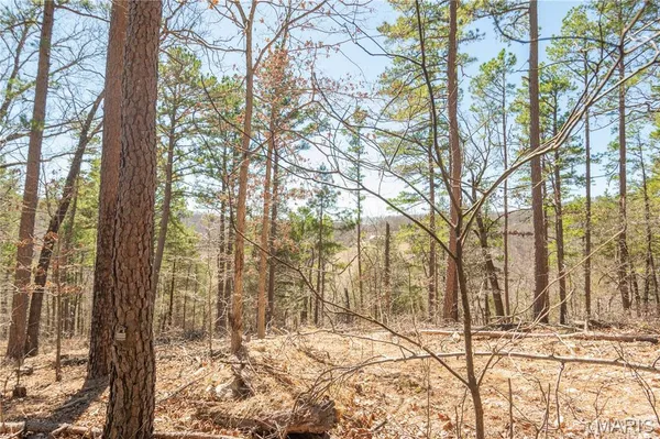 $1,925,000 | 32315 County Road 325, Salem, MO 65560