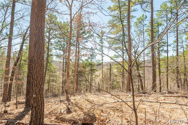 $1,925,000 | 32315 County Road 325, Salem, MO 65560