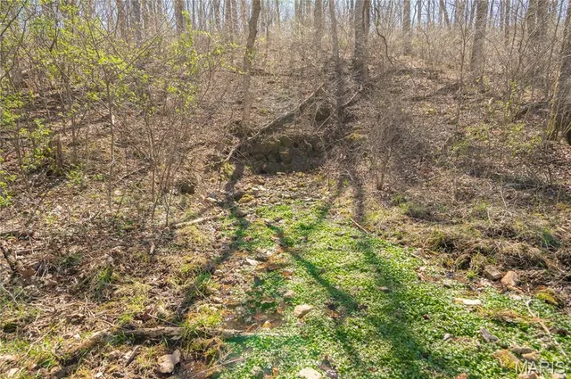 $1,925,000 | 32315 County Road 325, Salem, MO 65560