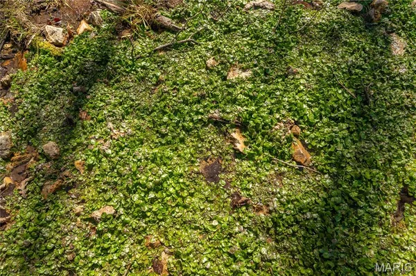 $1,925,000 | 32315 County Road 325, Salem, MO 65560