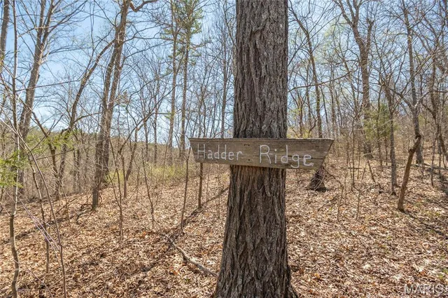 $1,925,000 | 32315 County Road 325, Salem, MO 65560