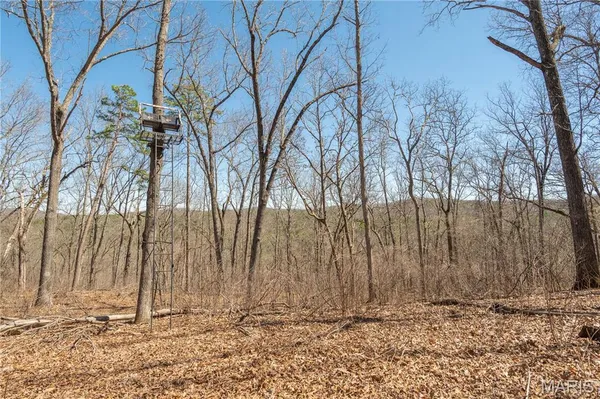 $1,925,000 | 32315 County Road 325, Salem, MO 65560