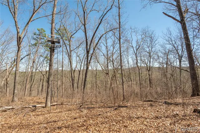 $1,925,000 | 32315 County Road 325, Salem, MO 65560