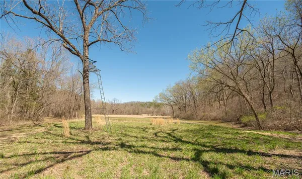 $1,925,000 | 32315 County Road 325, Salem, MO 65560