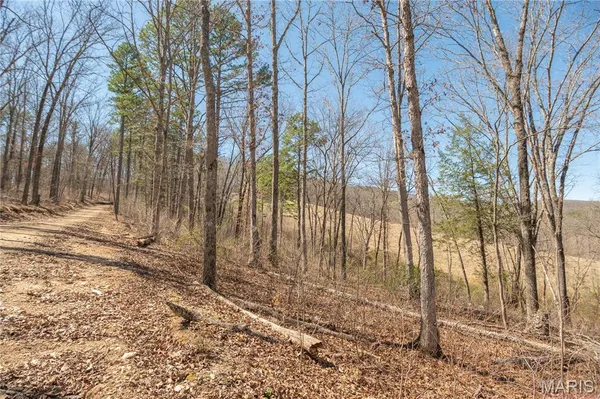 $1,925,000 | 32315 County Road 325, Salem, MO 65560