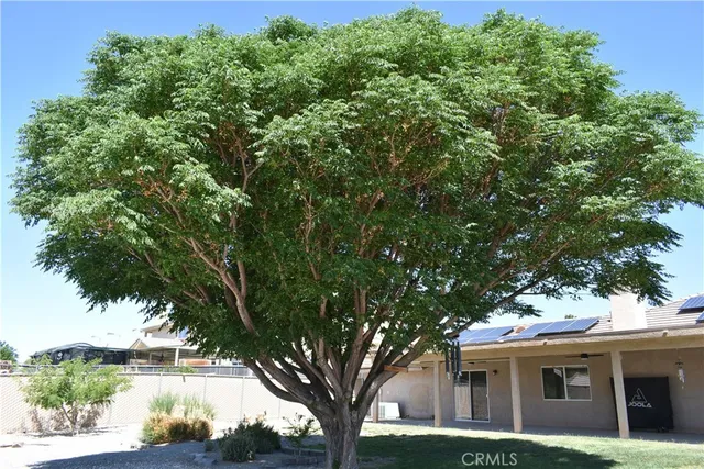 a view of a house with a tree in front