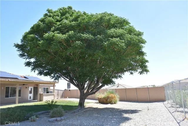 a view of house with a tree in front of it