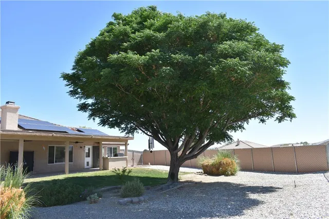 a view of house in front of a big yard with large trees