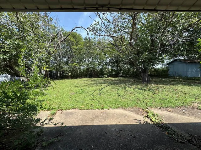 a view of a yard with potted plants