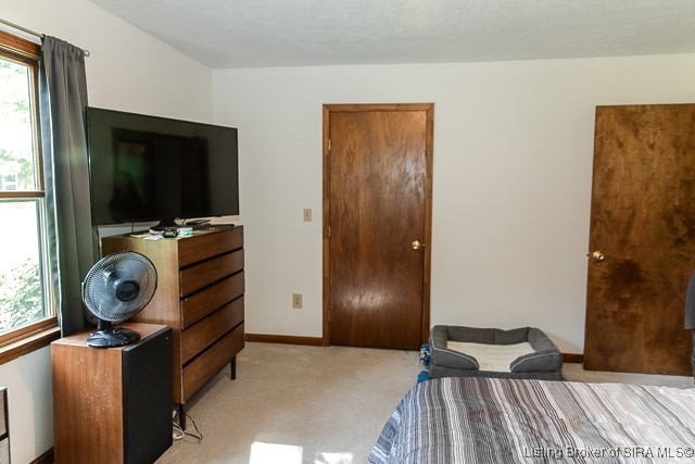3055 Lemon Road Madison, IN 47250 - Photo 13 of 69
