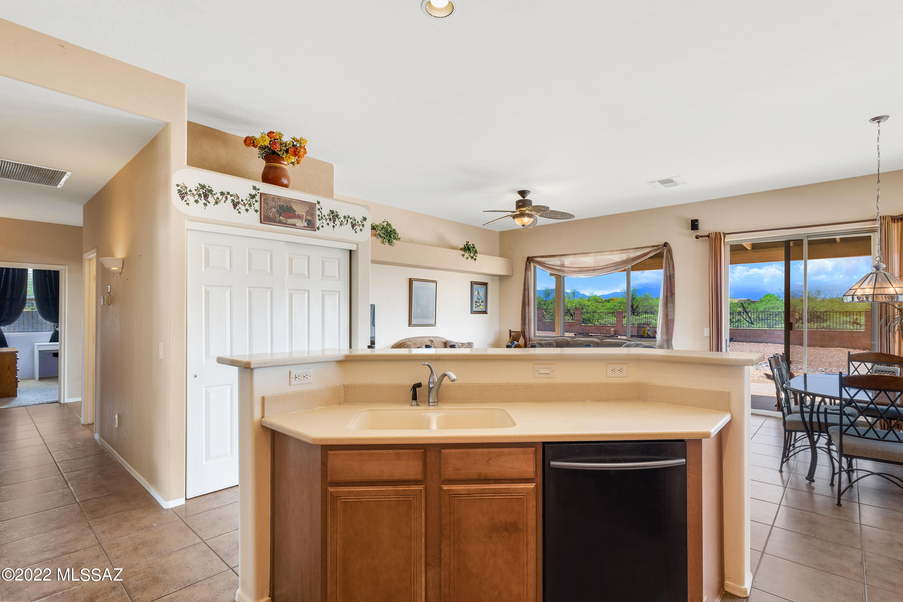 16526 Sycamore Ridge Trail Vail, AZ 85641 - Photo 12 of 43 Gallery Image 12