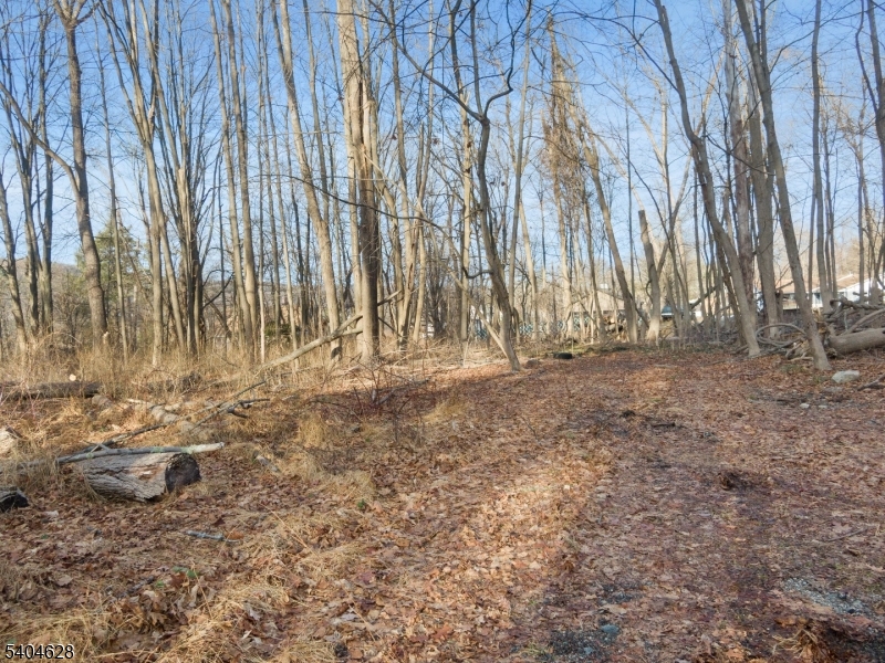 2046 Macopin Road West Milford, NJ 07480 - Photo 11 of 20 a view of yard with trees