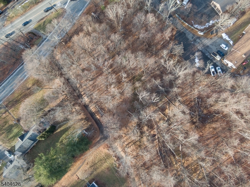 2046 Macopin Road West Milford, NJ 07480 - Photo 14 of 20 a view of a tree in a yard