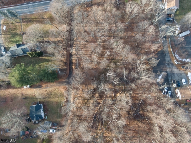 2046 Macopin Road West Milford, NJ 07480 - Photo 15 of 20 a view of a forest that has a tree