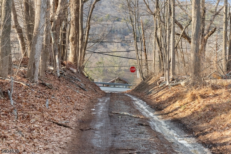 2046 Macopin Road West Milford, NJ 07480 - Photo 5 of 20 a view of outdoor space