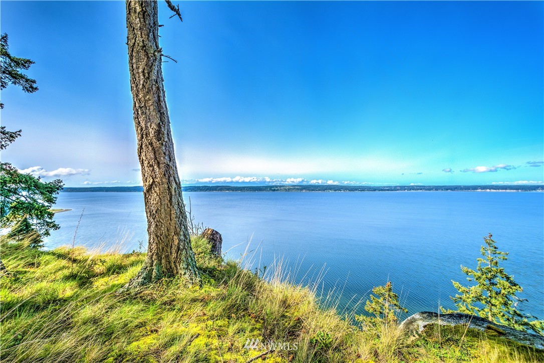 424 Eagle Crest Road Camano Island, WA 98282 - Photo 6 of 25