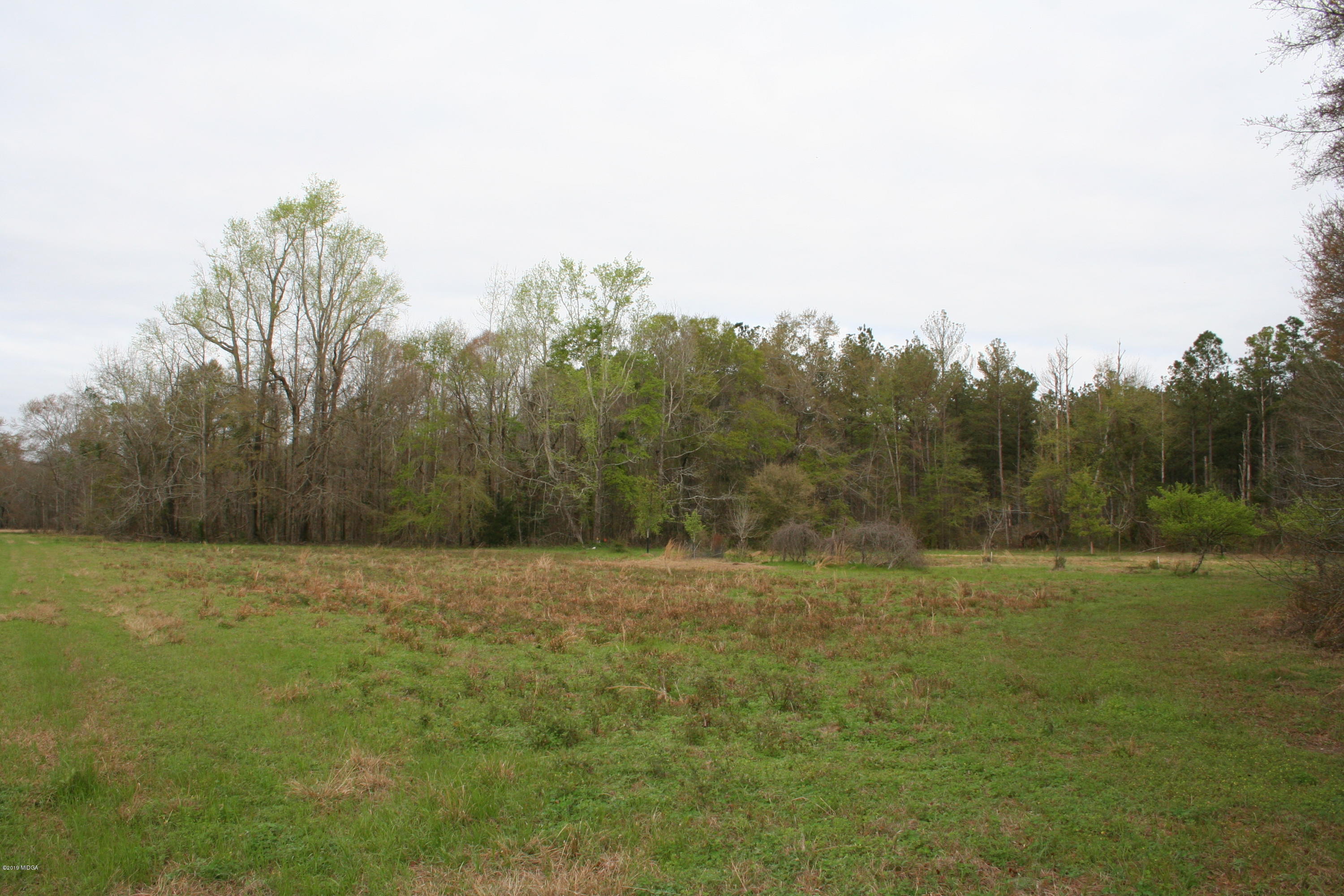 0 Moree-Lamb Road Vienna, GA 31092 - Photo 2 of 24 032