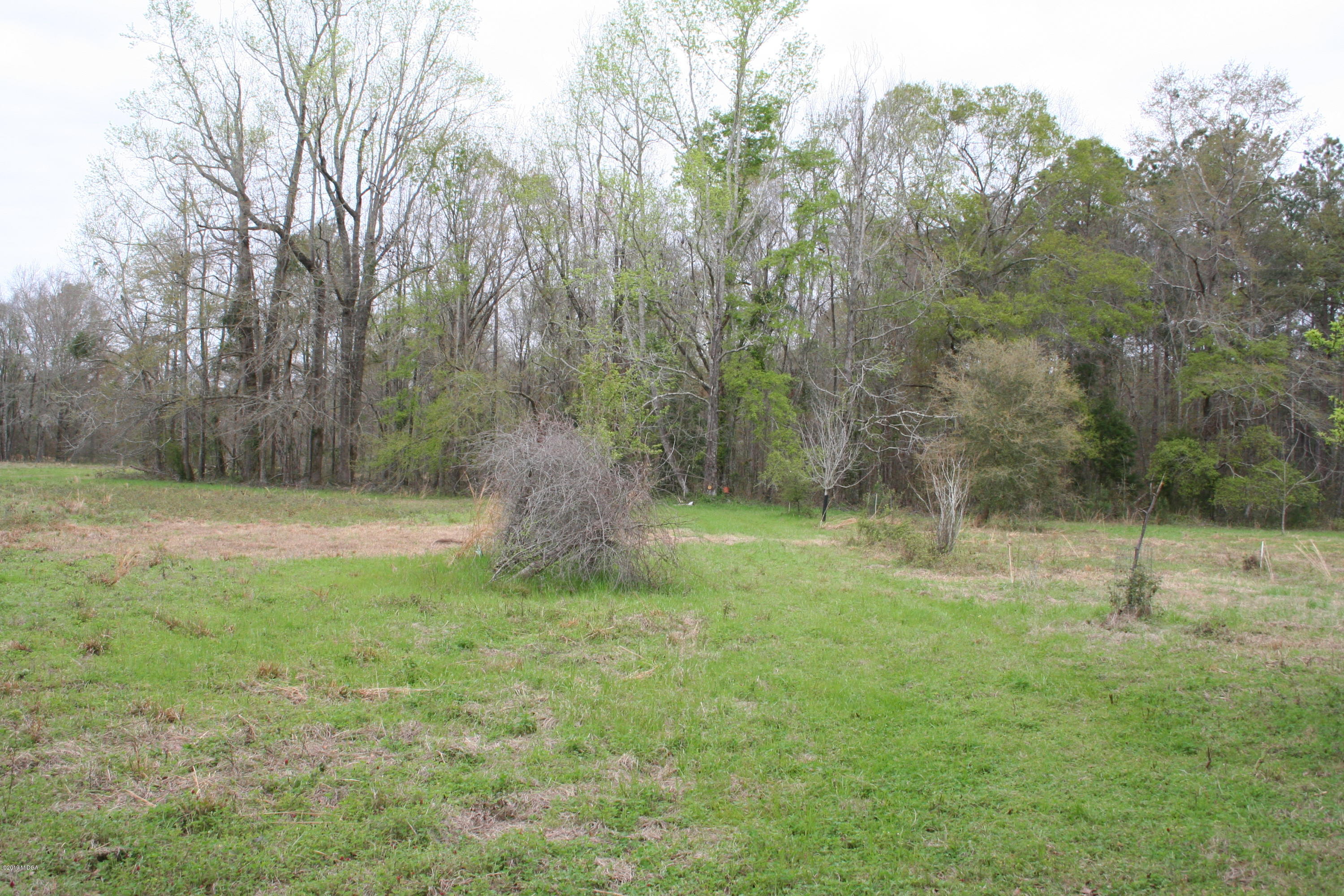 0 Moree-Lamb Road Vienna, GA 31092 - Photo 11 of 24 087