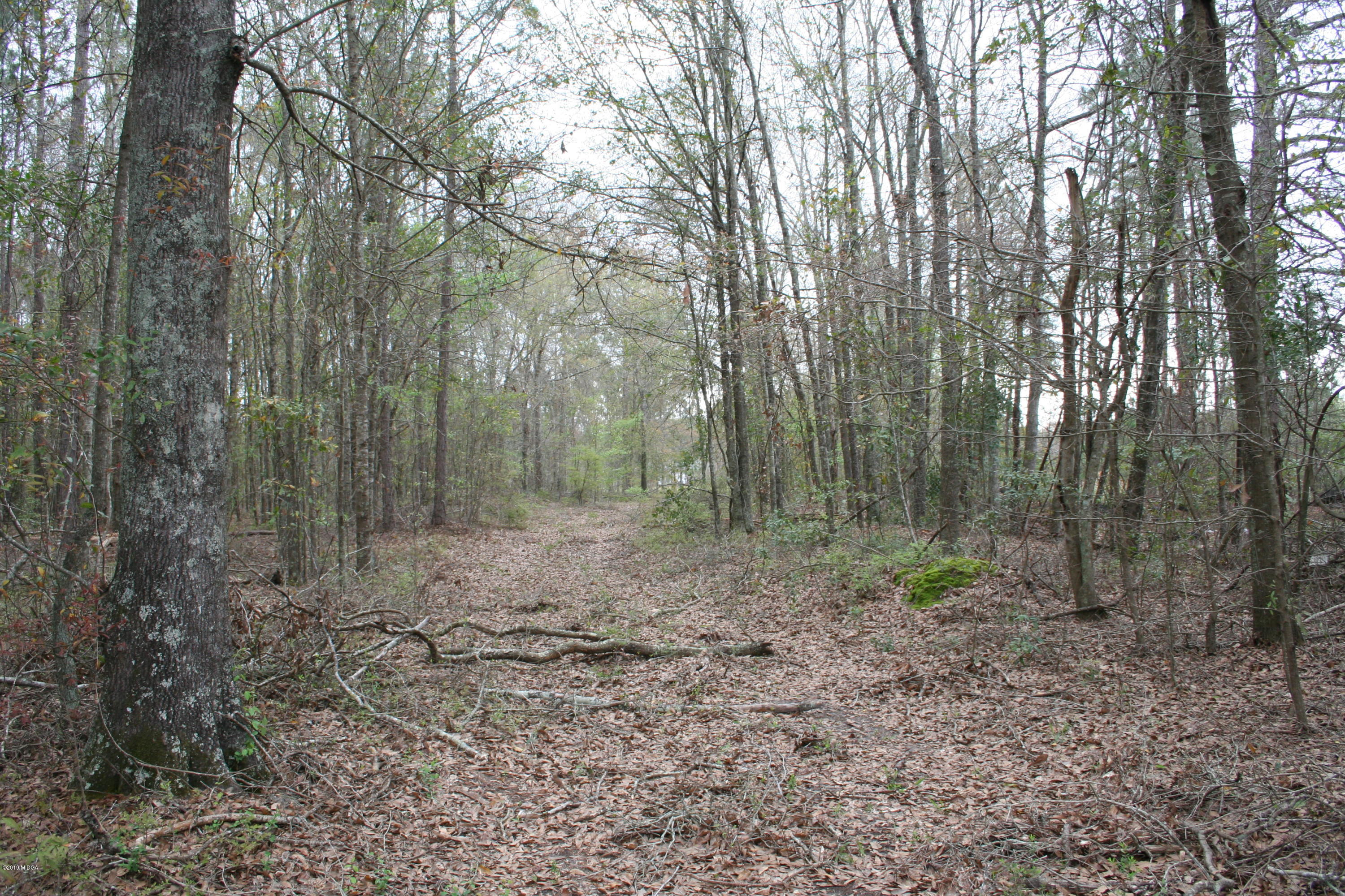 0 Moree-Lamb Road Vienna, GA 31092 - Photo 12 of 24 075