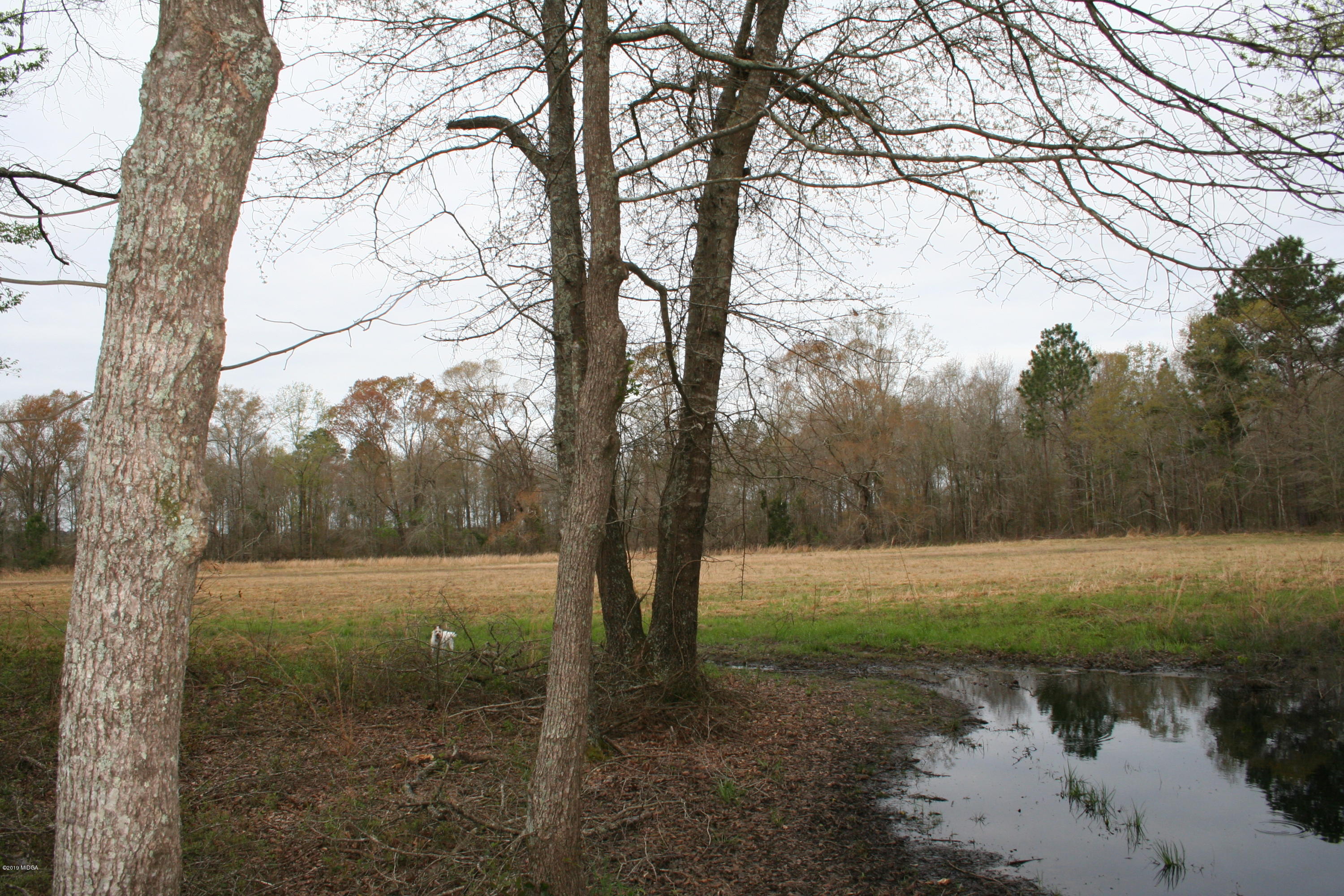 0 Moree-Lamb Road Vienna, GA 31092 - Photo 13 of 24 041