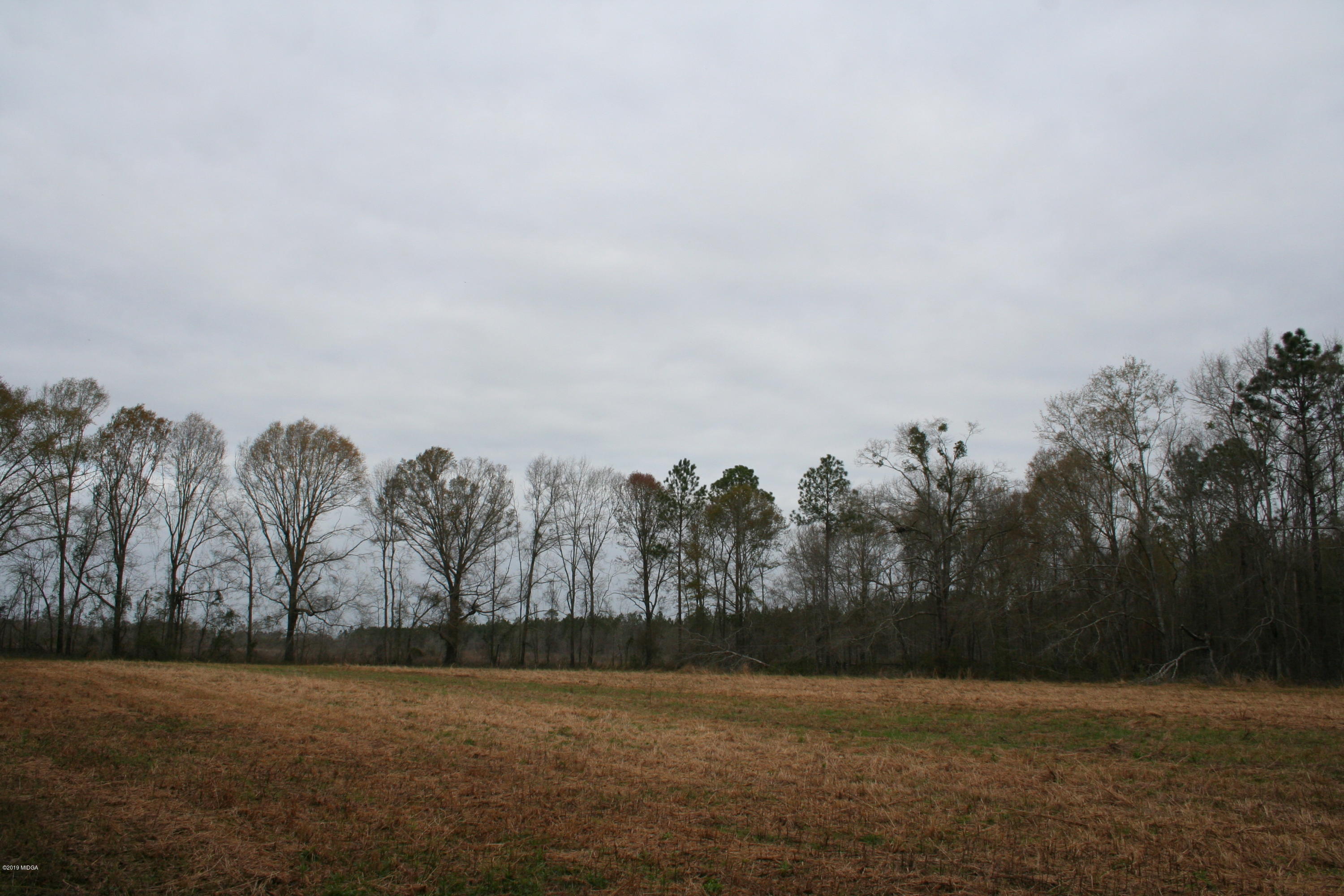 0 Moree-Lamb Road Vienna, GA 31092 - Photo 14 of 24 055