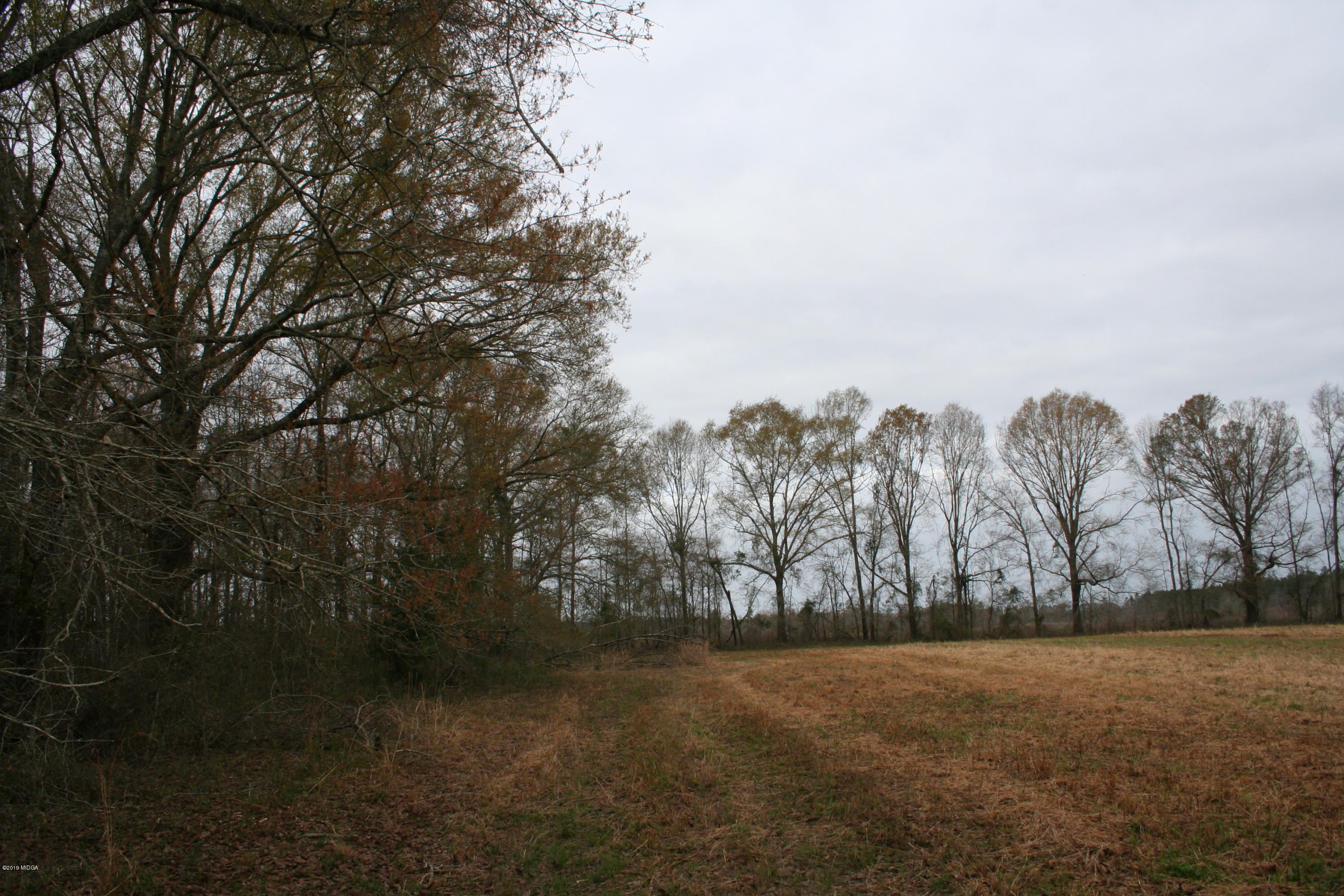 0 Moree-Lamb Road Vienna, GA 31092 - Photo 15 of 24 056