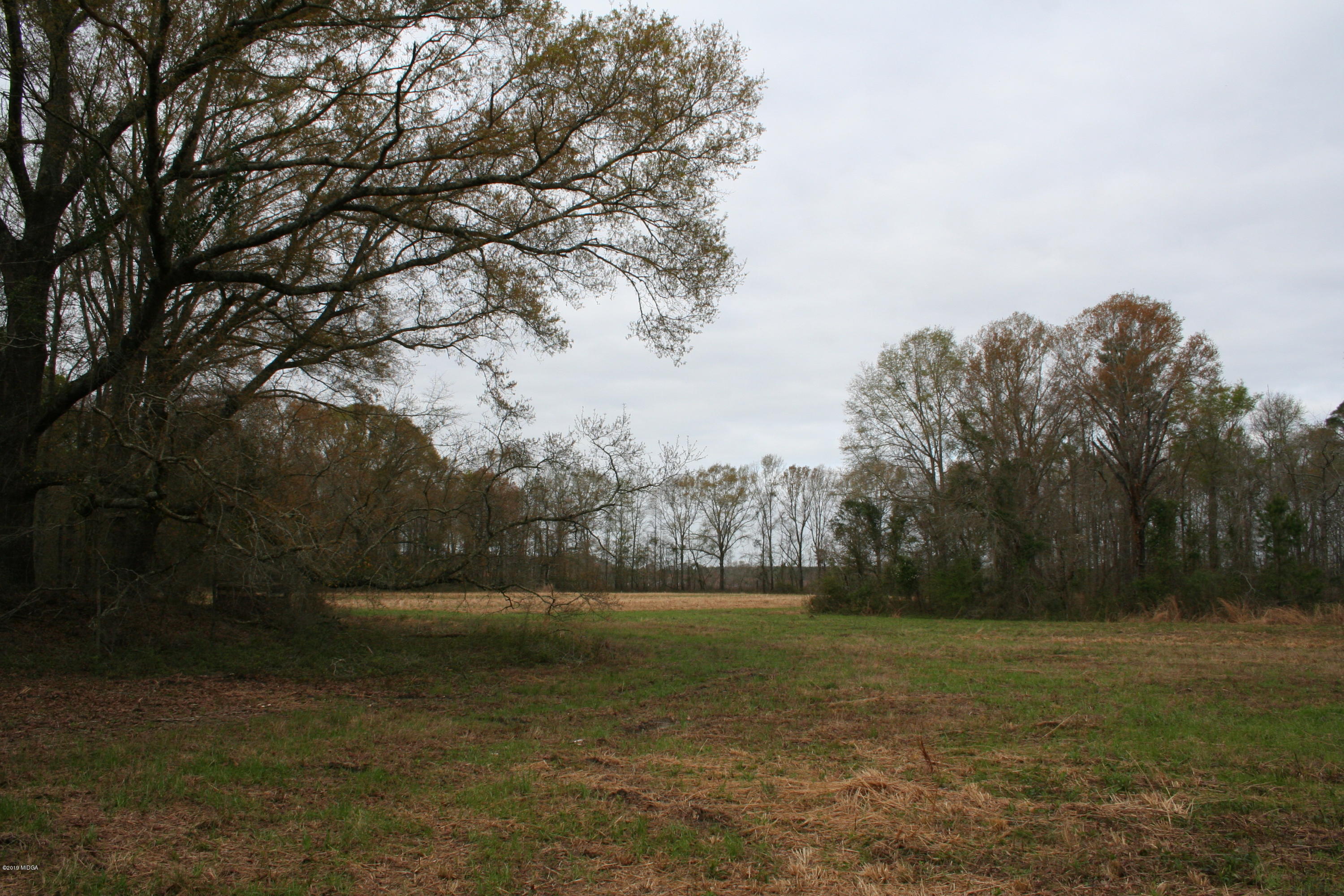 0 Moree-Lamb Road Vienna, GA 31092 - Photo 16 of 24 049